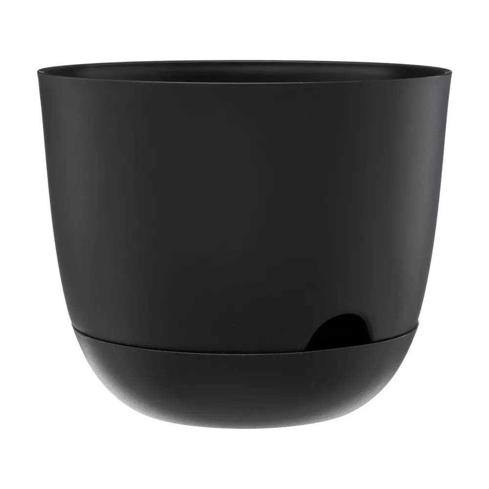 pop-42397401-1
